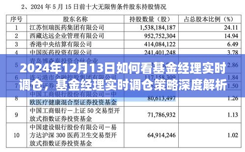 基金經(jīng)理實(shí)時調(diào)倉深度解析，洞悉策略與投資機(jī)會（2024年12月13日投資洞察）