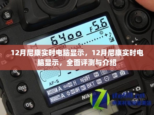 12月尼康實時電腦顯示，全面評測與詳細介紹