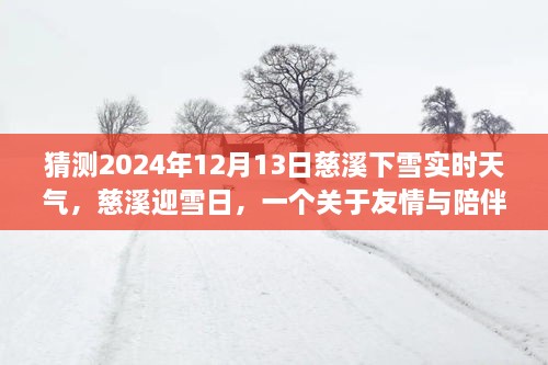 慈溪雪日溫情，友情與陪伴的溫馨故事，預(yù)測2024年12月13日實時天氣