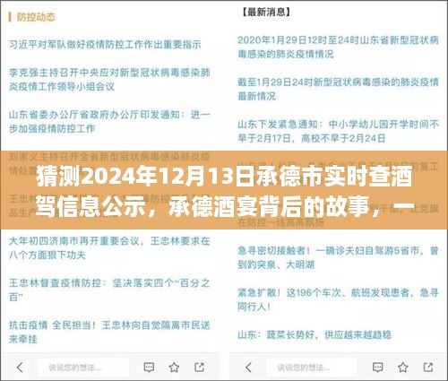 承德酒宴背后的故事，酒駕信息公示探秘之旅（猜測(cè)2024年12月13日承德市實(shí)時(shí)查酒駕信息公示）