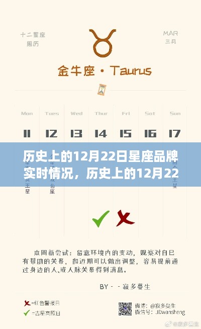 探尋星座品牌之旅，歷史上的12月22日星座品牌實時動態(tài)與心靈自然美景之旅