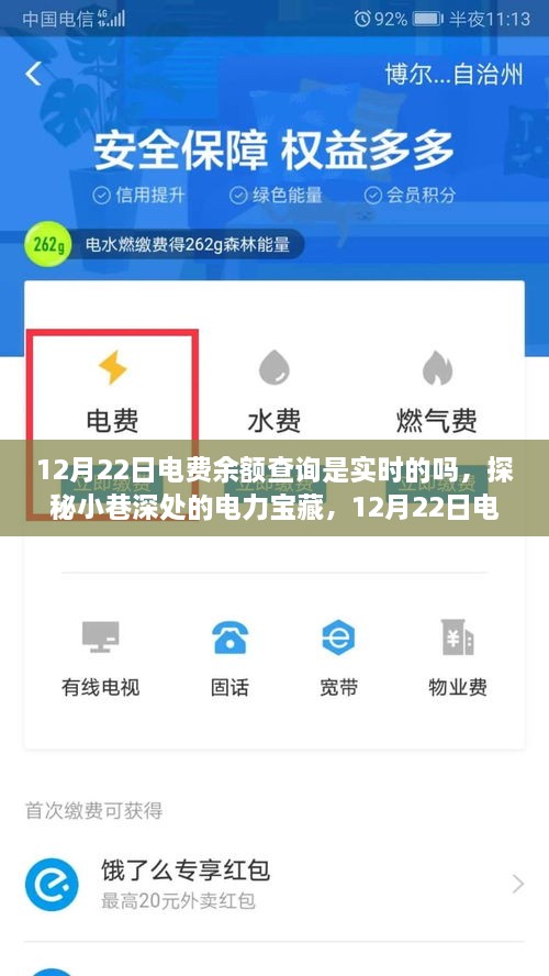 探秘小巷深處的電力寶藏，揭秘12月22日電費(fèi)余額查詢實(shí)時性揭秘