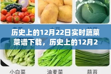 歷史上的12月22日實(shí)時(shí)蔬菜菜譜下載，價(jià)值探討與觀點(diǎn)論述