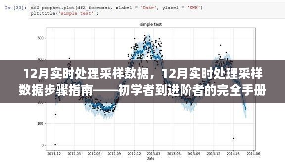 從新手到高手，12月實時處理采樣數(shù)據(jù)的完全指南與步驟解析