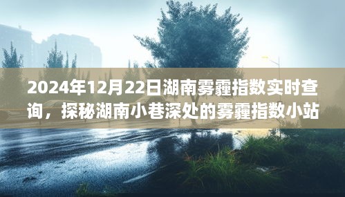 探秘湖南小巷深處，霧霾指數(shù)小站實時查詢之旅（2024年12月22日）