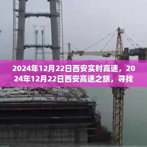 西安高速之旅，探尋自然懷抱，心靈寧靜之旅（2024年12月22日）