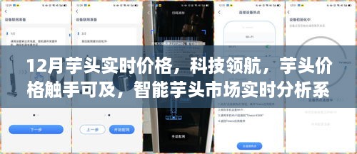 科技領(lǐng)航，智能芋頭市場實時分析系統(tǒng)上線，12月芋頭實時價格觸手可及！