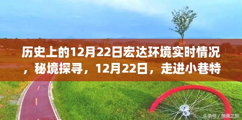 秘境探尋，宏達環(huán)境下的宏大環(huán)境之旅——歷史上的12月22日實時記錄