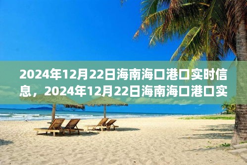 2024年12月22日海南?？诟劭趯崟r信息全解析，小紅書帶你掌握最新動態(tài)