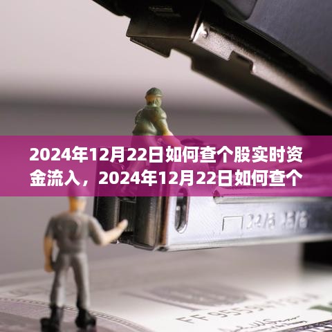 多維度解析與觀點(diǎn)探討，如何查詢個(gè)股實(shí)時(shí)資金流入——以2024年12月22日為例