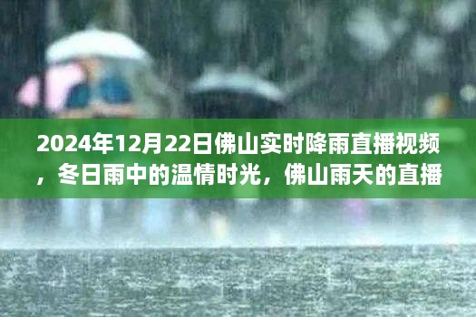 溫情時光與友情故事，佛山雨天直播實錄，實時降雨直播視頻