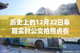 歷史上的12月22日阜陽公交之旅，探尋實(shí)時(shí)公交拍照點(diǎn)，尋找心靈的寧靜與自然的饋贈(zèng)