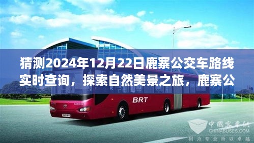 鹿寨公交路線新探秘，啟程2024年12月22日，探尋自然美景之旅實(shí)時(shí)查詢