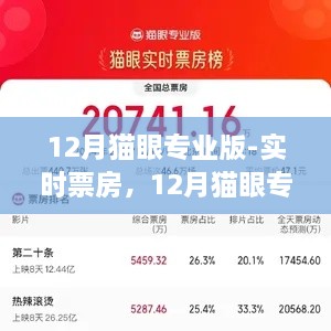 12月貓眼專業(yè)版實時票房解析，電影市場深度洞察