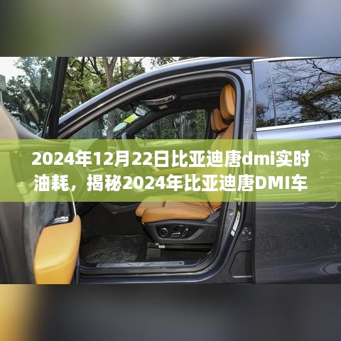 揭秘深度解析，2024年比亞迪唐DMI車型實(shí)時(shí)油耗解析