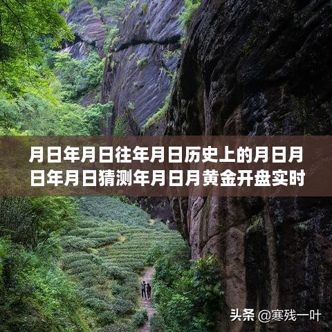 黃金行情揭秘，歷史、預(yù)測(cè)與實(shí)時(shí)動(dòng)態(tài)的交織