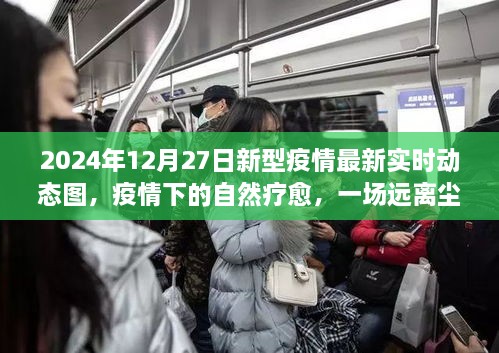 疫情下的自然療愈之旅，探尋內(nèi)心平靜與新型疫情的實時動態(tài)圖