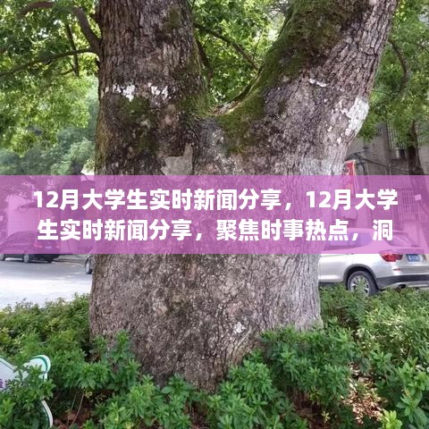 聚焦時事熱點，大學生實時新聞分享，洞察時代變遷的十二月觀察