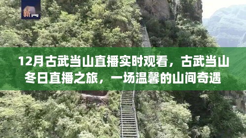 古武當(dāng)山冬日直播之旅，探尋山間奇遇的溫馨之旅