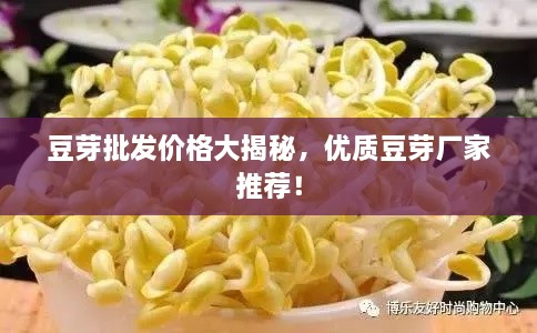 豆芽批發(fā)價格大揭秘，優(yōu)質豆芽廠家推薦！