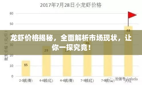 龍蝦價(jià)格揭秘，全面解析市場(chǎng)現(xiàn)狀，讓你一探究竟！
