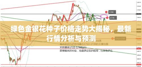 綠色金銀花種子價格走勢大揭秘，最新行情分析與預(yù)測