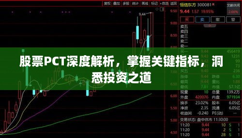 股票PCT深度解析，掌握關鍵指標，洞悉投資之道