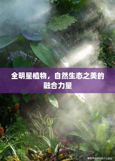 全明星植物，自然生態(tài)之美的融合力量