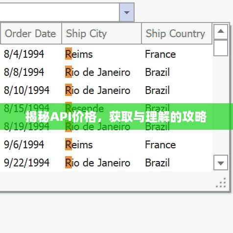 揭秘API價(jià)格，獲取與理解的攻略