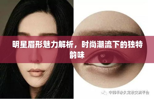 明星眉形魅力解析，時(shí)尚潮流下的獨(dú)特韻味