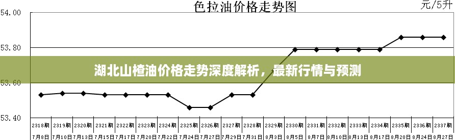 湖北山楂油價(jià)格走勢(shì)深度解析，最新行情與預(yù)測(cè)