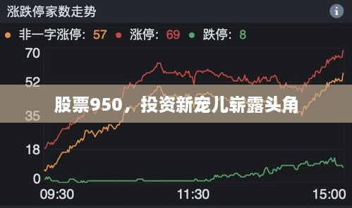 股票950，投資新寵兒嶄露頭角