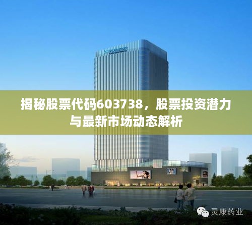 揭秘股票代碼603738，股票投資潛力與最新市場(chǎng)動(dòng)態(tài)解析