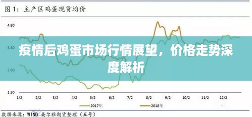 疫情后雞蛋市場行情展望，價格走勢深度解析