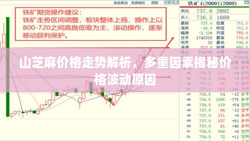 山芝麻價格走勢解析，多重因素揭秘價格波動原因