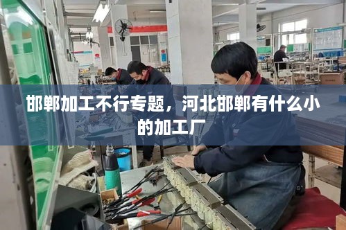 邯鄲加工不行專題，河北邯鄲有什么小的加工廠 