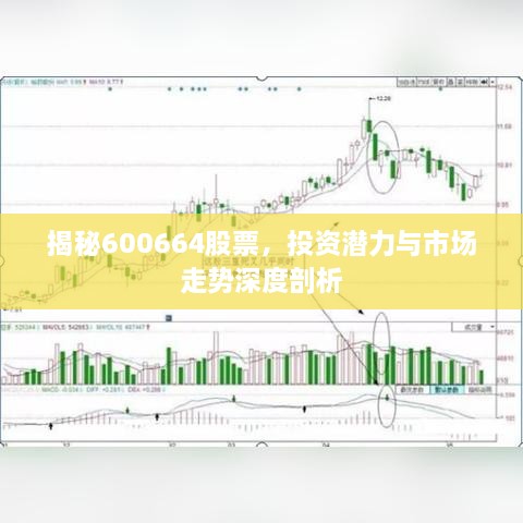 揭秘600664股票，投資潛力與市場(chǎng)走勢(shì)深度剖析