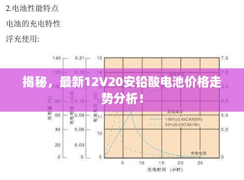 揭秘，最新12V20安鉛酸電池價格走勢分析！