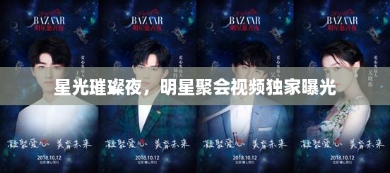 星光璀璨夜，明星聚會(huì)視頻獨(dú)家曝光