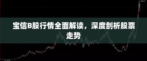 寶信B股行情全面解讀，深度剖析股票走勢