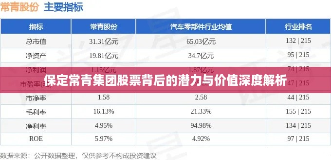 保定常青集團(tuán)股票背后的潛力與價值深度解析