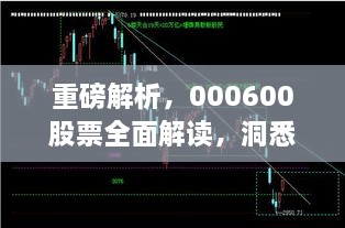 重磅解析，000600股票全面解讀，洞悉投資趨勢！