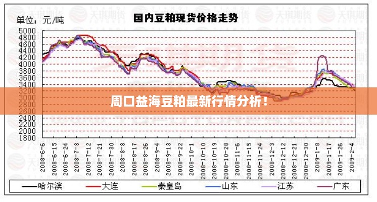 周口益海豆粕最新行情分析！