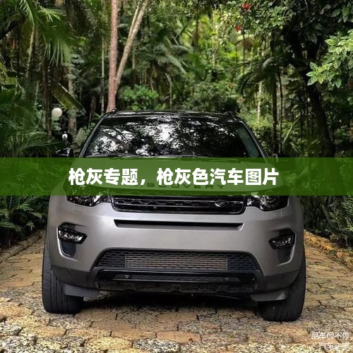 槍灰專題，槍灰色汽車圖片 