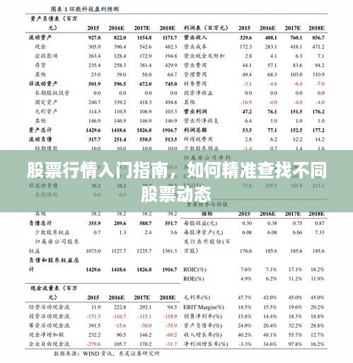 股票行情入門指南，如何精準(zhǔn)查找不同股票動(dòng)態(tài)