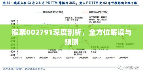 股票002791深度剖析，全方位解讀與預(yù)測(cè)