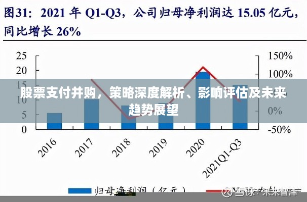 股票支付并購(gòu)，策略深度解析、影響評(píng)估及未來(lái)趨勢(shì)展望