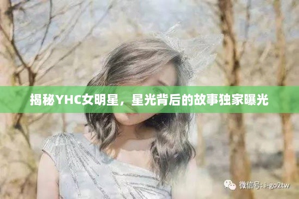 揭秘YHC女明星，星光背后的故事獨(dú)家曝光