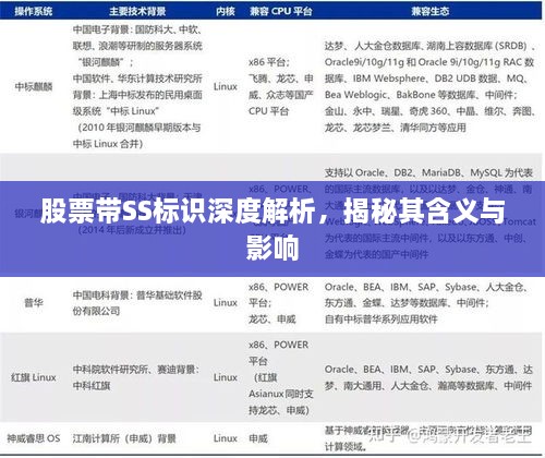 股票帶SS標(biāo)識(shí)深度解析，揭秘其含義與影響