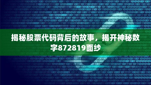 揭秘股票代碼背后的故事，揭開神秘?cái)?shù)字872819面紗